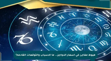 هبوط مفاجئ في أسعار الدواجن.. ما الأسباب والتوقعات القادمة؟
